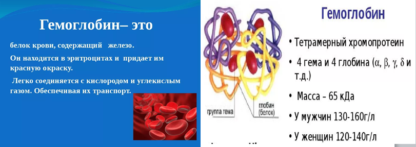 Изменения гемоглобина в крови. Белки крови гемоглобин. Гемоглобин это белок крови. Железо в гемоглобине. Гемоглобин и железо в крови.