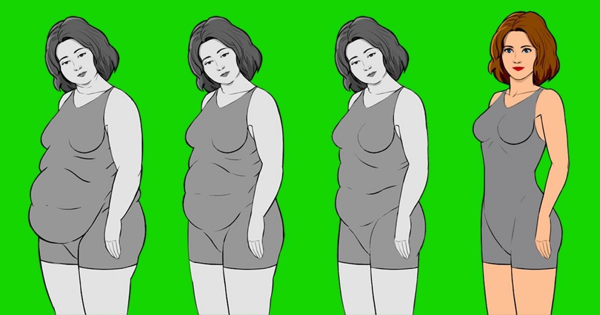 Почему с возрастом растет живот. Жир у девушек. Похудение Рисованные XL S.