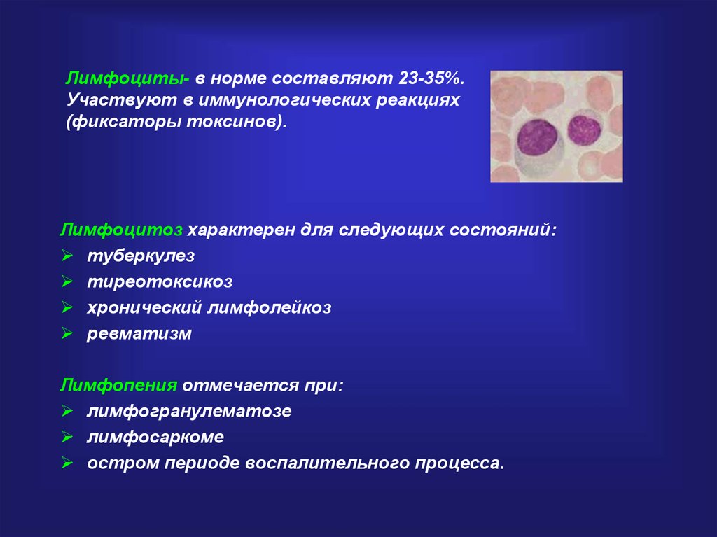 Лимфоциты антибиотики. Лимфоциты норма. Увеличение лимфоцитов. Лимфоцитов больше нормы. Лимфоцитоз характерен для.