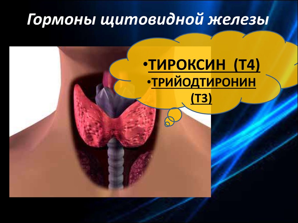 Какие железы вырабатывают тироксин. Гормоны щитовидной железы. Гормоны на щитовидную железу. Щитовидная железа вырабатывает гормон. Гормоны щитовидной железы трийодтиронин.