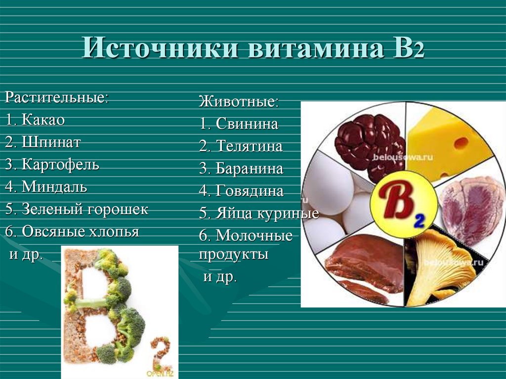 Б 1 б 2 б 6. Витамин б2 источник витамина. Пищевые источники витаминов группы в.