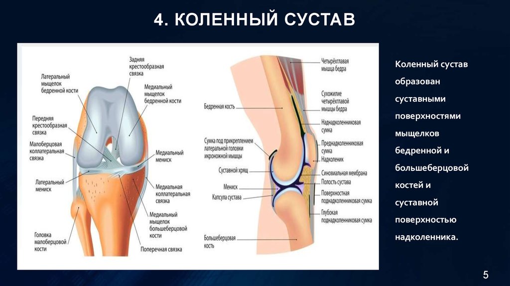 Хондромаляция мыщелка бедренной. Мыщелок и надмыщелок коленного сустава. Анатомия коленного сустава мыщелки. Хондромаляция внутреннего мыщелка бедренной кости. Медиальный мыщелок правой бедренной кости.