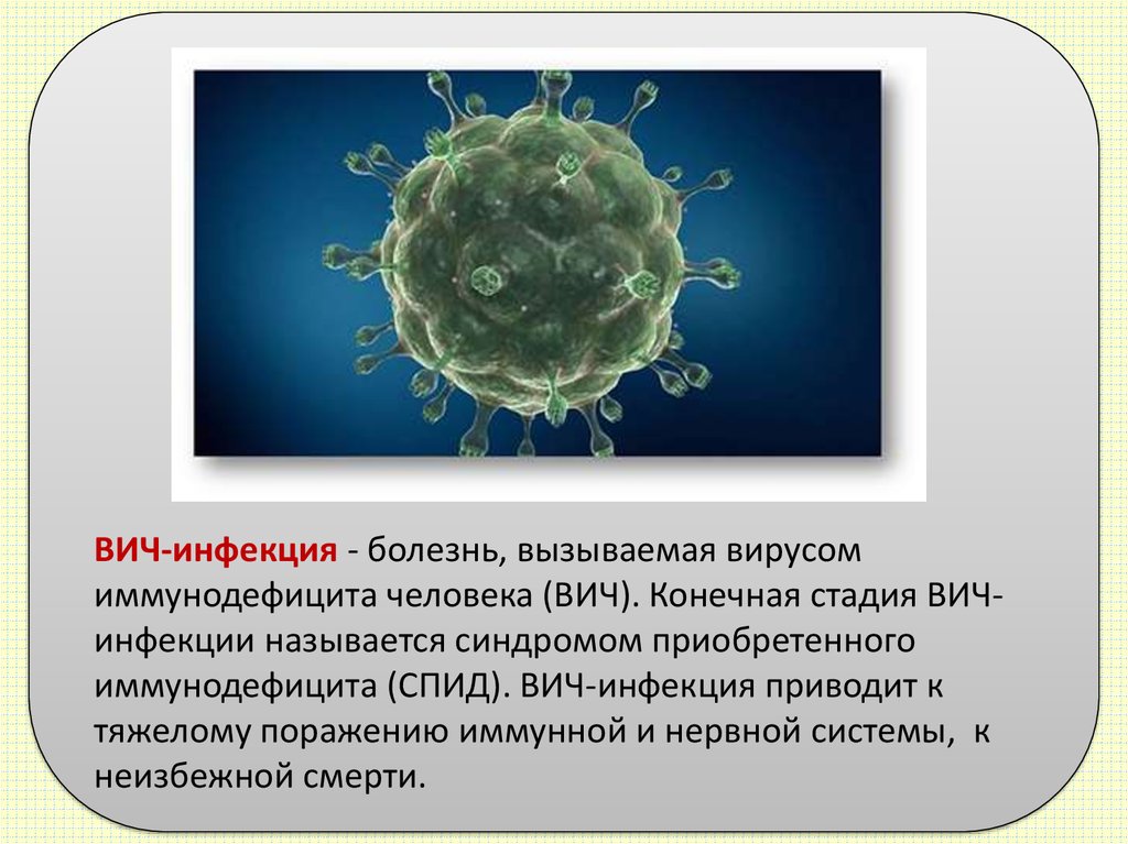 Примеры заболеваний вызываемых вирусами. ВИЧ инфекция вызывается вирусом. Вирус поражающий иммунную систему. Инфекция иммунной системы /СПИД/. ВИЧ инфекция презентация инфекционные болезни.