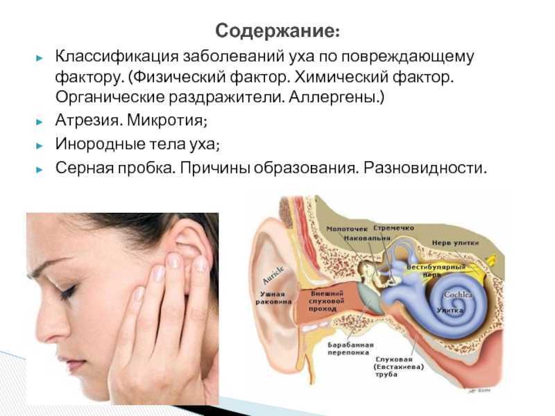 Ухо заложено и пульсирует. Симптомы заболевания наружного уха серная пробка. Ухо строение серная пробка. Заболевания уха классификация. Причины заболеваний уха.
