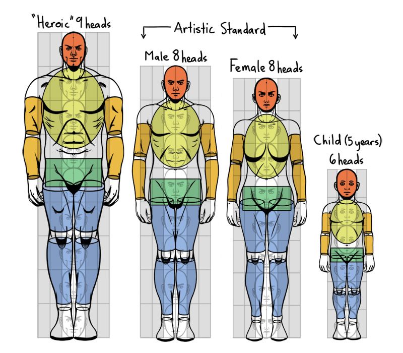 Безногий оказался в теле вторичного персонажа. Пропорции тела. Пропорции фигуры человека. Соотношение пропорций тела человека. Пропорции человеческой фигуры.