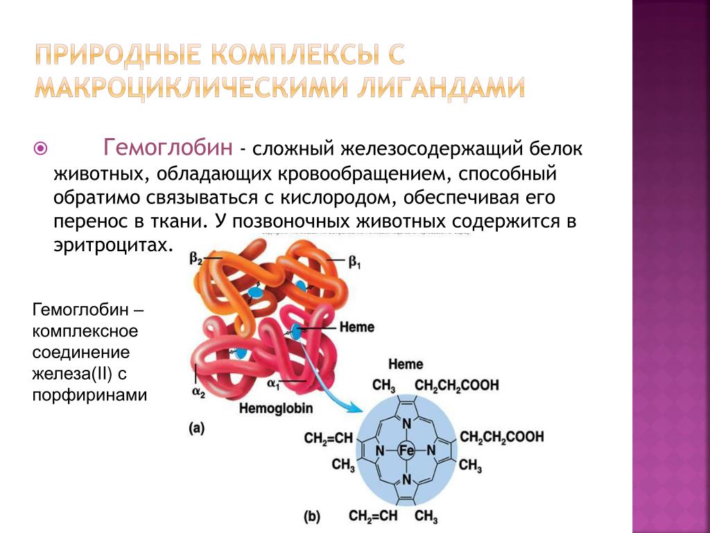 Какое соединение молекулы гемоглобина с кислородом. Гемоглобин комплексное соединение. Лиганды гемоглобина. Лиганд в комплексе. Лиганд биохимия белок.