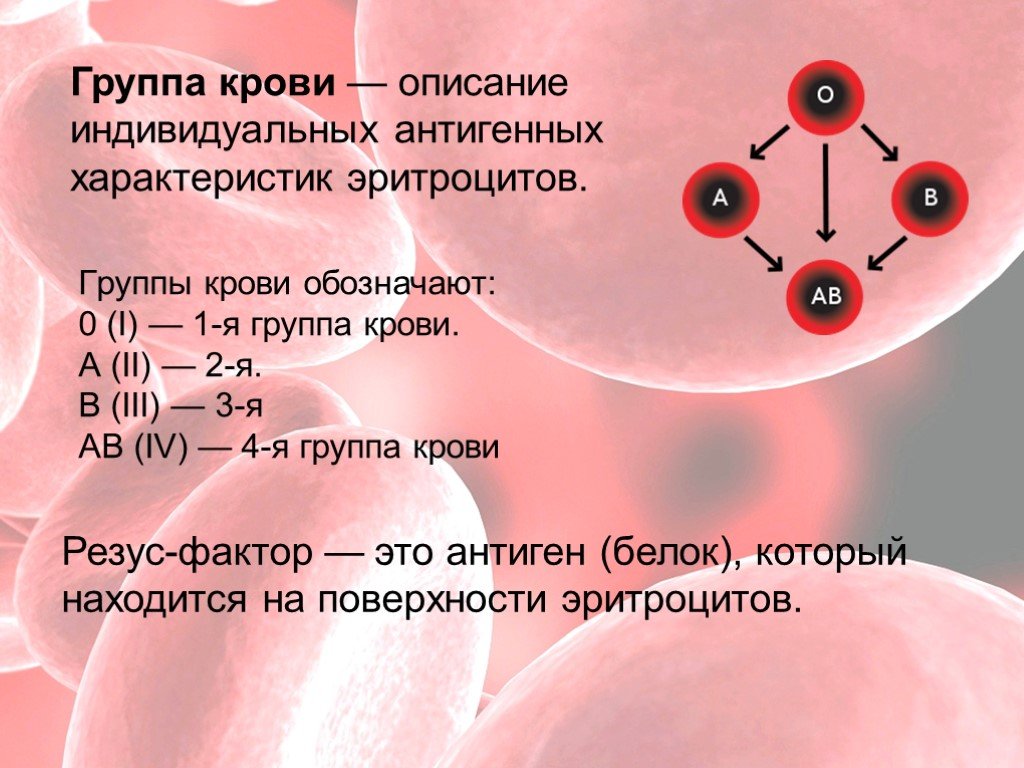 Группа крови город. Резус фактор 1 группы крови. Резус фактор 2 группы крови. Группа крови IV(ab) резус-фактор (rh) положительный. Резус фактор антиген 4 группы крови.